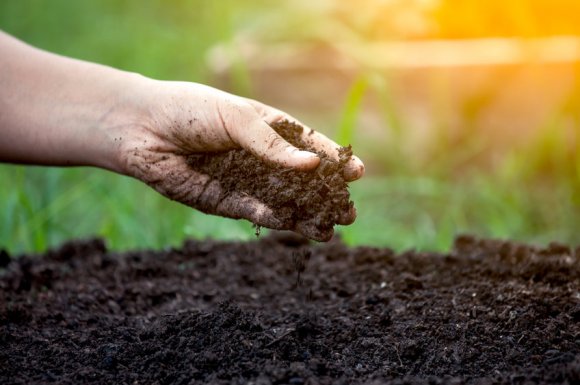 Travaux agricoles pour préparer la terre aux plantations à Broons