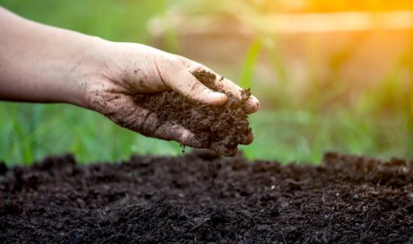 Travaux agricoles pour préparer la terre aux plantations à Broons